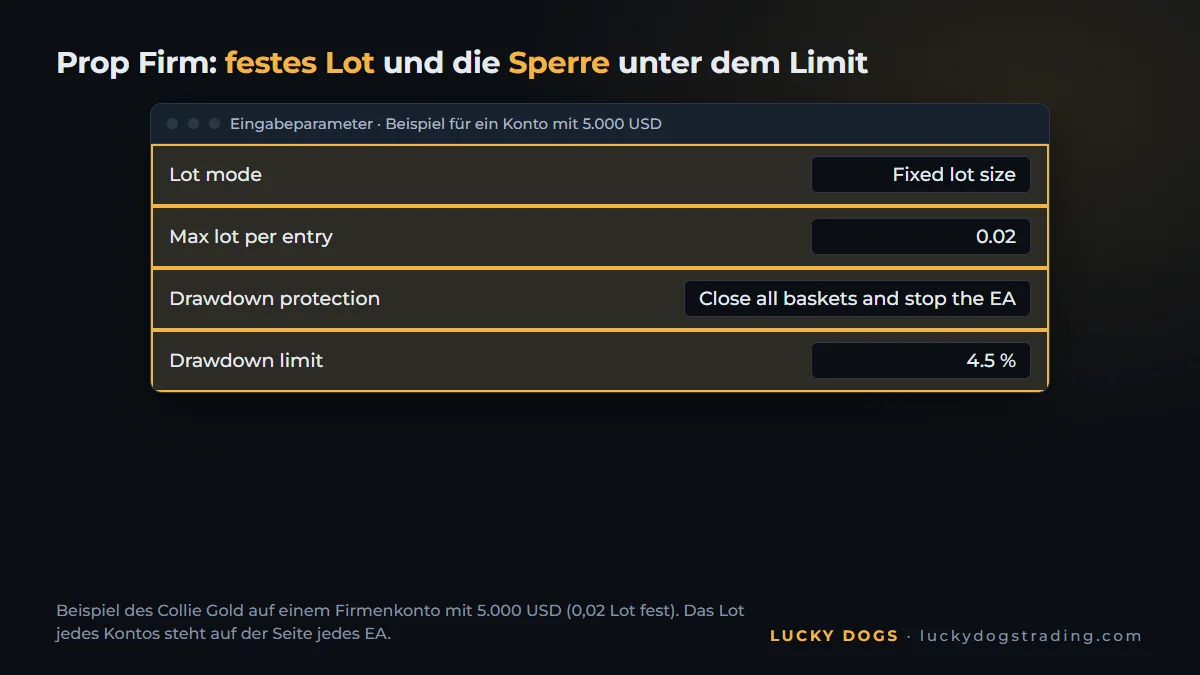 EA-Parameter im MT5 mit festem Lot und 4,5-%-Sperre für die Prop Firm