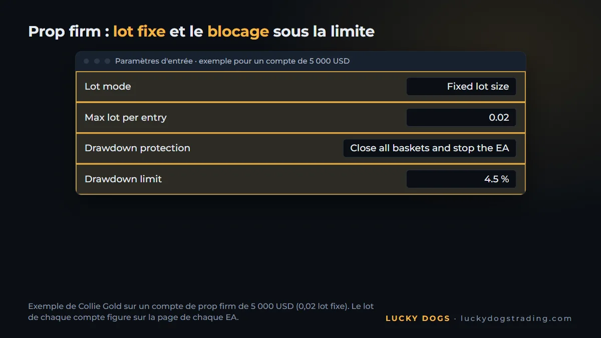 Paramètres de l'EA sur MT5 avec lot fixe et blocage à 4,5 % pour prop firm