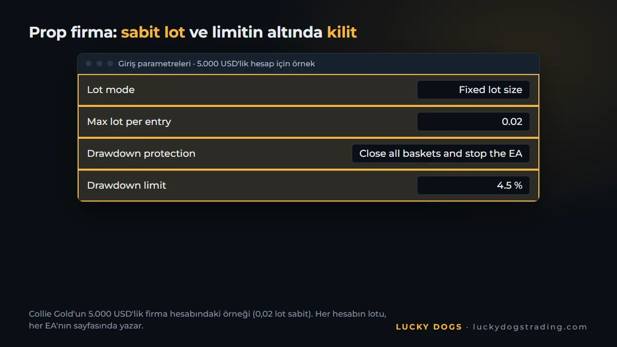MT5'te sabit lot ve prop firma için %4,5 kilitli EA parametreleri