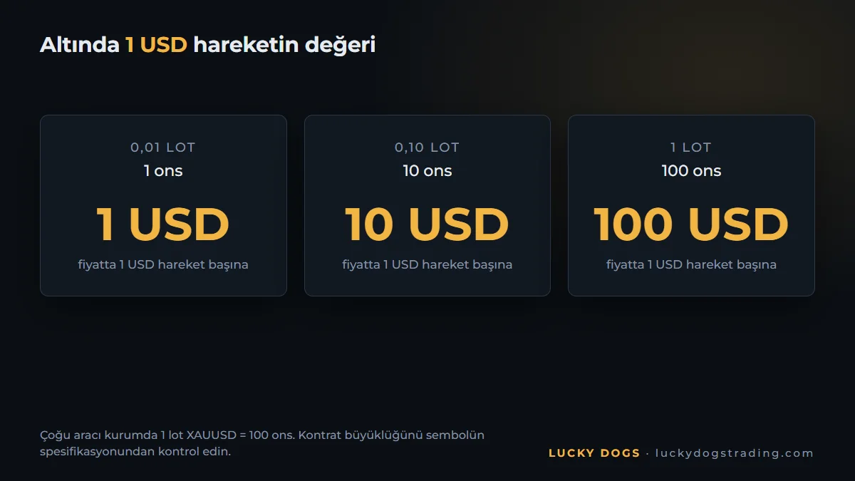 Altında 1 dolarlık hareketin 0,01, 0,10 ve 1 lotta değeri